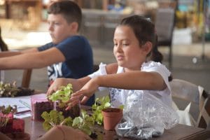 LTB Teraryum Atölyesi ile çocuklar ve yetişkinler fanusa bitki ekimini öğrendi 5 LTB Teraryum Atölyesi ile çocuklar ve yetişkinler fanusa bitki ekimini öğrendi