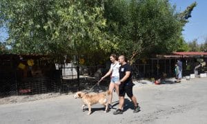 “Mamanı Al Da Gel” etkinliği Lefkoşa Barınağı’nda Yapıldı 3 “Mamanı Al Da Gel” etkinliği Lefkoşa Barınağı’nda Yapıldı